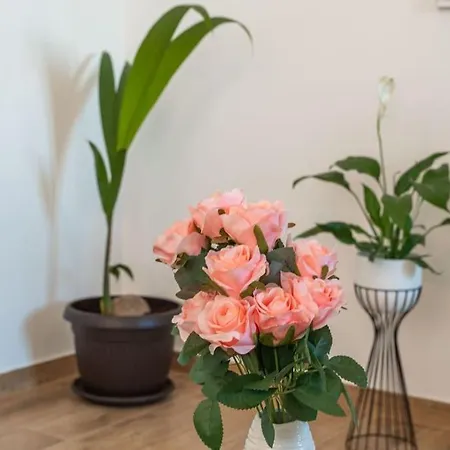 Apartment Nature Dubrovnik