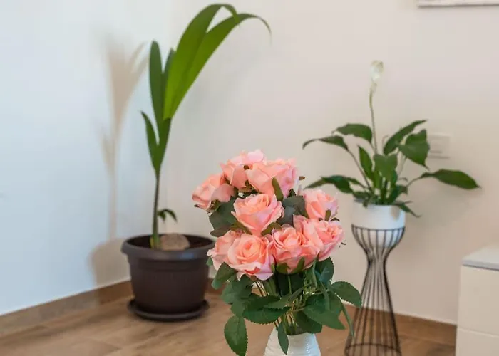 Apartament Nature Dubrownik